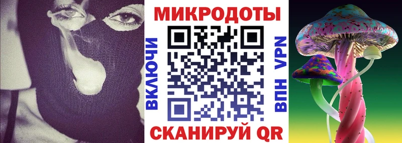 блэк спрут ССЫЛКА Абакан Псилоцибиновые грибы GOLDEN TEACHER