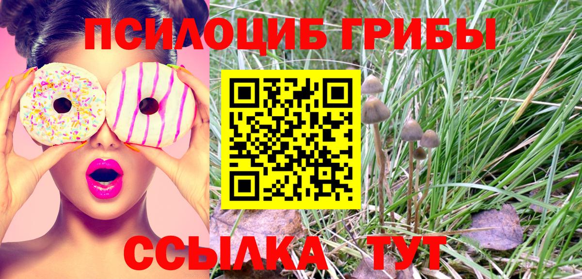 Галлюциногенные грибы ЛСД  Вход с VPN  Абакан 