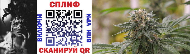 где купить наркоту  Абакан  Бошки марихуана индика 